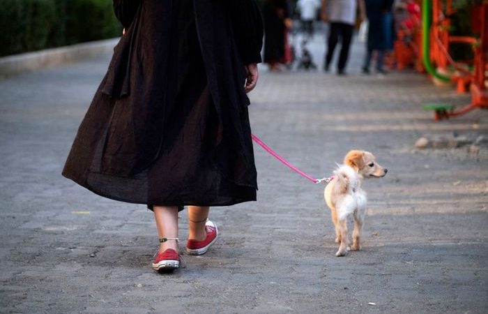В Иране могут запретить домашних животных. (Photo by MORTEZA NIKOUBAZL/AFP via Getty Images) | Epoch Times Россия