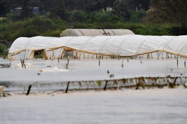 Затопленная овощная ферма из-за разлива реки Непин после проливного дождя в западном Сиднее, Австралия, 5 июля 2022 года. (Saeed Khan/AFP via Getty Images)
