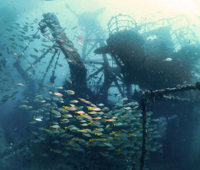 Дайв-фотограф исследует призрачный затонувший линкор-риф со стаями рыб у тайского острова