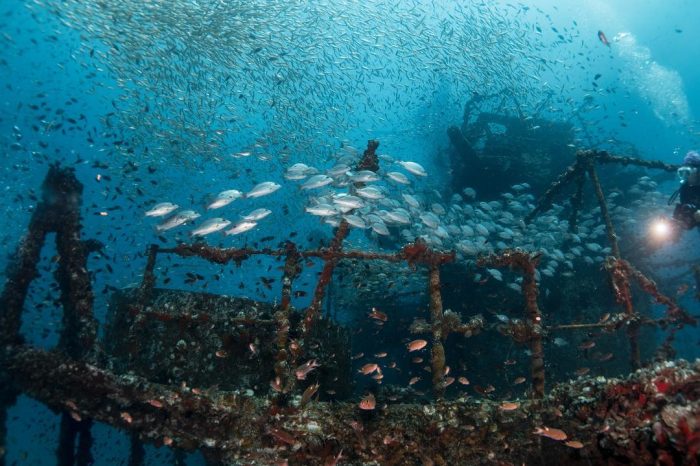 Дайв-фотограф исследует призрачный затонувший линкор-риф со стаями рыб у тайского острова