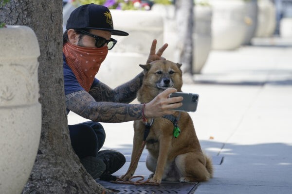 Эндрю Стюарт надевает бандану в качестве маски, делая селфи со своей собакой Вольтроном на бульваре Сансет в Западном Голливуде, Калифорния, 2 июля 2020 года. (Ashley Landis/AP Photo)