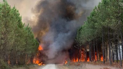 10 000 человек эвакуировано из-за пожара на юго-западе Франции