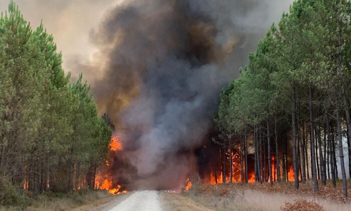 Пламя пожирает деревья во время лесного пожара в Сен-Ман, к югу от Бордо, юго-запад Франции, 10 августа 2022 года. ( SDIS 33 Service Audiovisuel via AP) | Epoch Times Россия