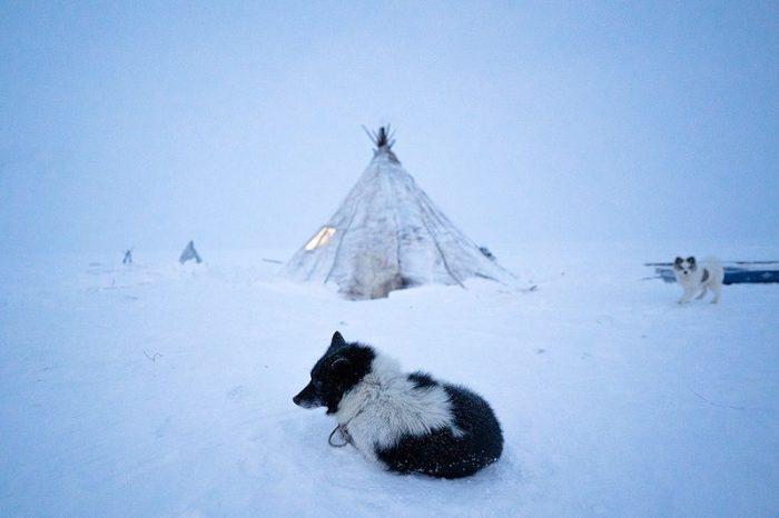 «Они последние»: редкие фотографии оленеводов, живущих в морозной арктической Сибири