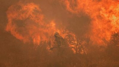 Пожар в Рязанской области может перейти в верховой