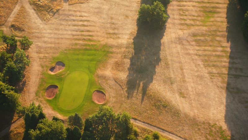 Всплеск зелени на фоне высохших фарватеров поля для гольфа Ashton Court, недалеко от Бристоля, 12 августа 2022 года. (Ben Birchall/PA) | Epoch Times Россия