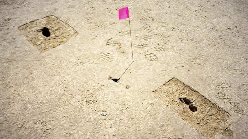 Следы на археологическом участке отмечены булавочным флажком на испытательном и учебном полигоне Юты. (Courtesy of R. Nial Bradshaw via Cornell University) | Epoch Times Россия