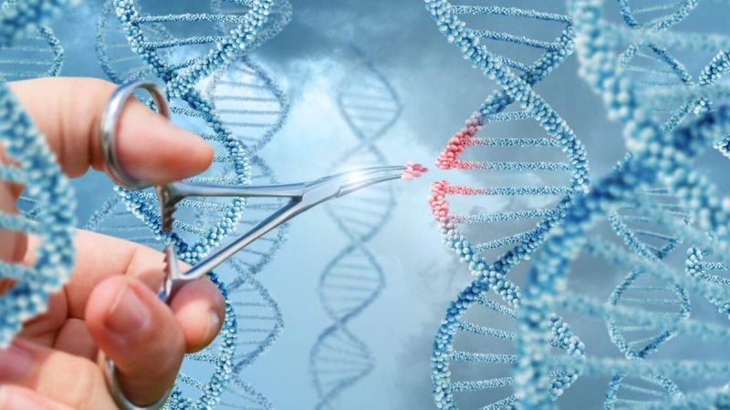 От клонирования генома оспы обезьян до редактирования ДНК человека — стала ли синтетическая биология обоюдоострым мечом?