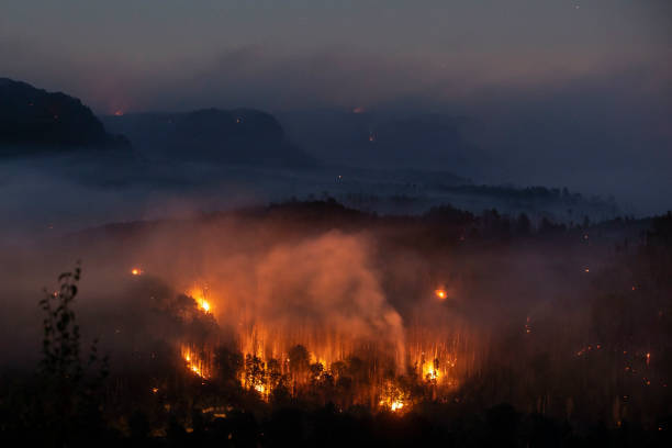 Пожар в тайге. (Фото: Gabriel Kuchta/Getty Images) | Epoch Times Россия