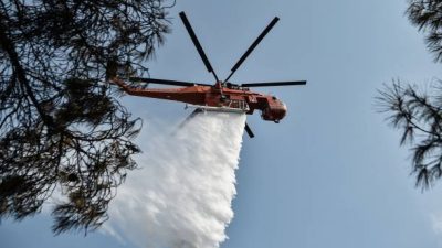 В Рязанской области из-за лесных пожаров эвакуируют жителей села