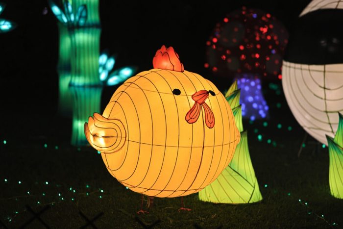 Сотни причудливых фонарей осветили Гонконг в праздник Середины осени