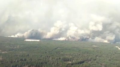 Режим ЧС введён в Костанайской области Казахстана из-за пожаров
