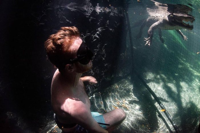Во Флориде есть место, где можно поплавать с аллигаторами и не быть «съеденным»