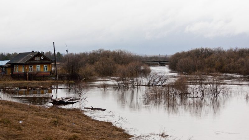 Паводок на Камчатке: смыло мост, дома затоплены