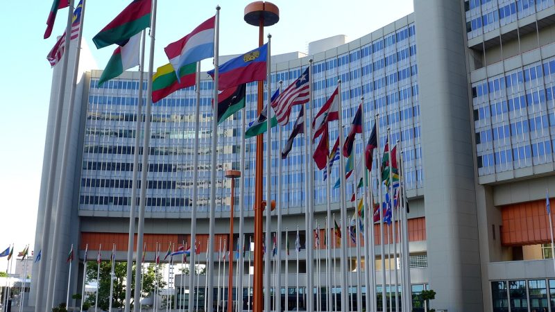 Международные флаги перед зданием ООН в Вене. (Inactive account – ID 995645/Pixabay.com/Pixabay License)  | Epoch Times Россия