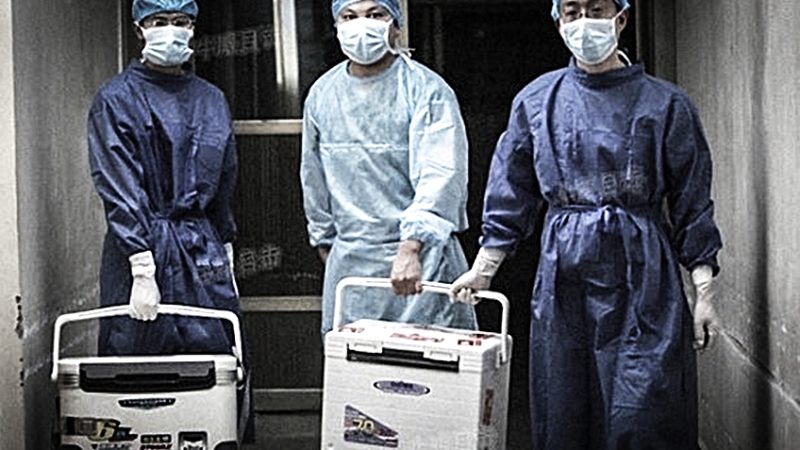 Врачи несут органы для операции по пересадке в больнице в провинции Хэнань, 16 августа 2012 года. (Screenshot/Sohu.com) | Epoch Times Россия