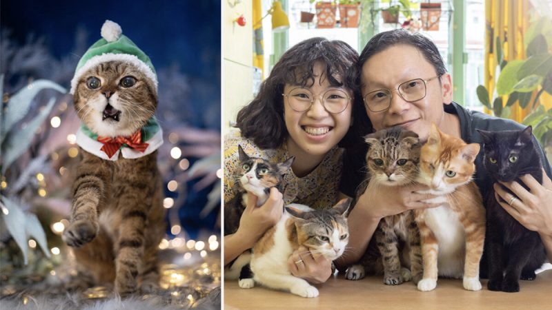 Уилсон Нг (справа) был старшим фотожурналистом в ныне закрытом издании Apple Daily. В 2021 году он стал фотографировать домашних кошек и их хозяев. (Courtesy of Wilson Ng)  | Epoch Times Россия