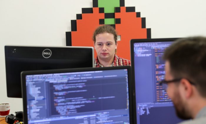 Программисты работают на компьютерах в Белграде, Сербия, 4 июля 2018 года. (Marko Djurica/Reuters) | Epoch Times Россия