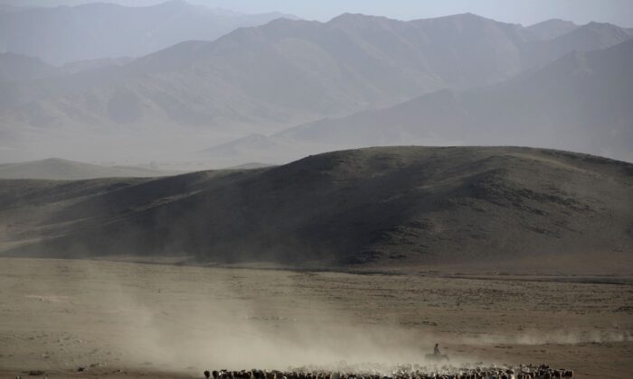 Пустынный пейзаж в префектуре Алтай, Синьцзян-Уйгурский автономный район, Китай, 18 сентября 2007. (China Photos/GettyImages) | Epoch Times Россия