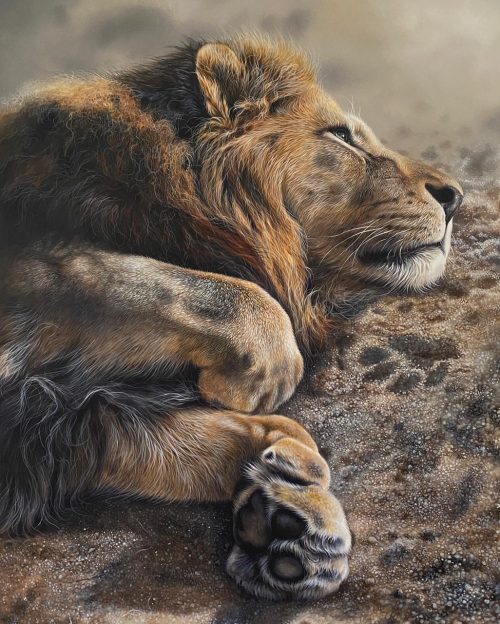 Художница из Великобритании изображает на гигантских холстах невероятных львов и тигров