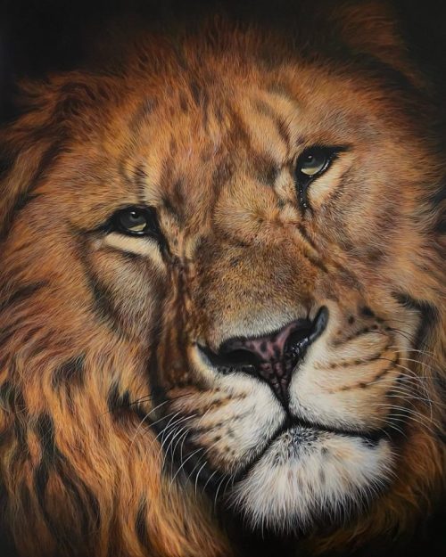 Художница из Великобритании изображает на гигантских холстах невероятных львов и тигров