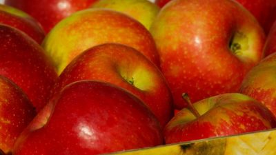 В России предложили исключить из списка соцпродуктов говядину и яблоки