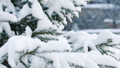 Снегопад в Курской области оставил без света 35 тыс. жителей