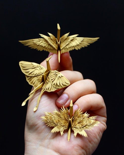 Необычные журавлики-оригами вдохнули надежду и свет в жизнь художника-самоучки и его поклонников