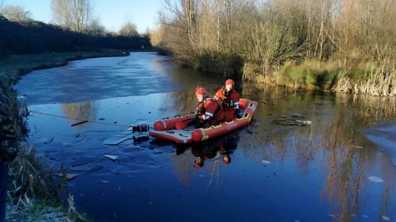 Щенок кокер-спаниеля настырно тянул хозяйку к озеру: там случилась беда