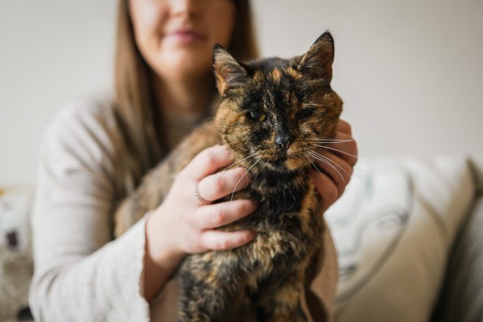 Самая старая из ныне живущих кошек Флосси попала в Книгу рекордов Гиннесса в возрасте 26 лет, что (равно) эквивалентно 120 человеческим годам