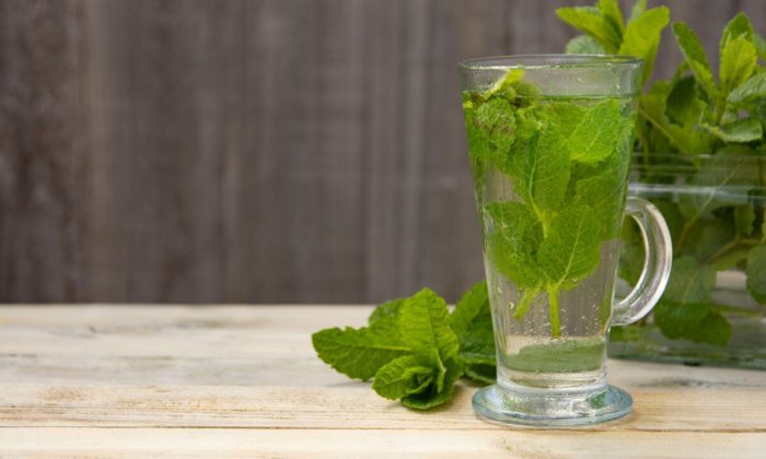 3 травы для улучшения памяти и работы мозга