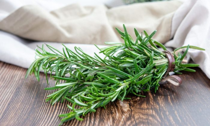 3 травы для улучшения памяти и работы мозга