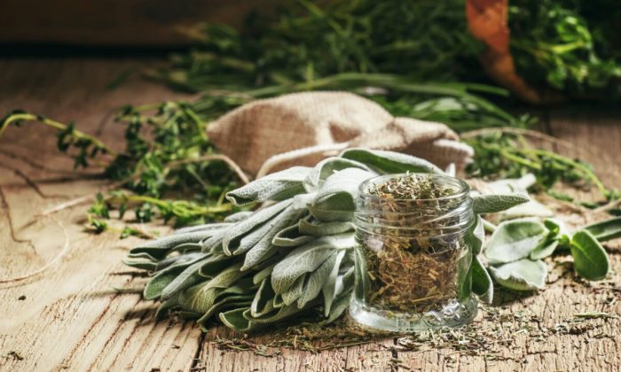 3 травы для улучшения памяти и работы мозга