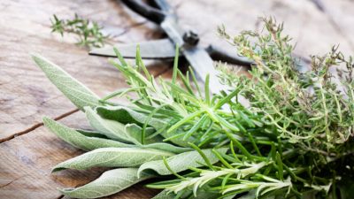 3 травы для улучшения памяти и работы мозга