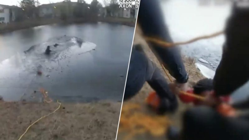 Драматические кадры с телекамеры запечатлели офицеров, спасающих 9-летнего мальчика и женщину из ледяного пруда (Courtesy of Aurora Illinois Police Department) | Epoch Times Россия