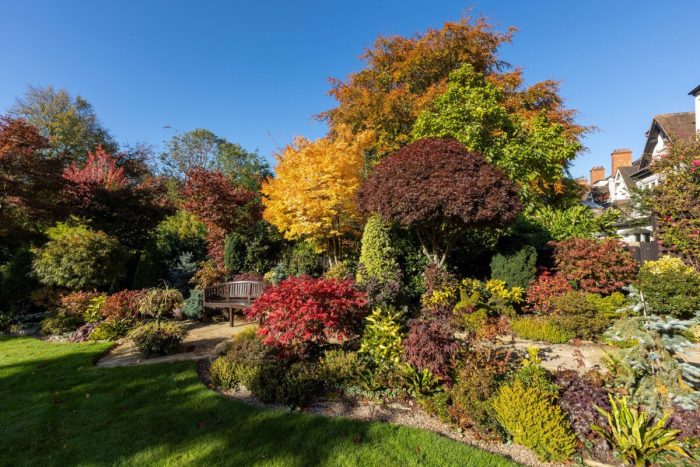 Британская супружеская пара создала домашний сад необычайной красоты