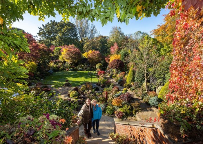 Британская супружеская пара создала домашний сад необычайной красоты