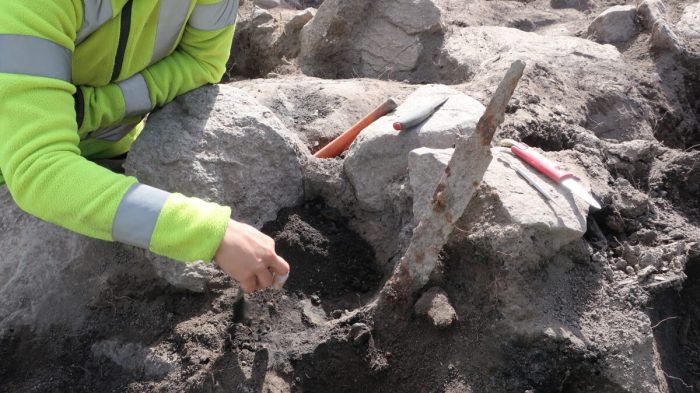 Археологи нашли 2 меча эпохи викингов в 1200-летней могиле в Швеции Археологи нашли 2 меча эпохи викингов в 1200-летней могиле в Швеции