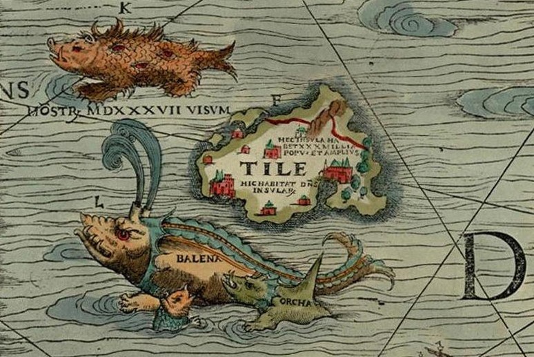 «Морская свинья» (вверху слева) изображена вместе с китом и касаткой на карте Олафа Магнуса Carta Marina 1539 года. (Public Domain)