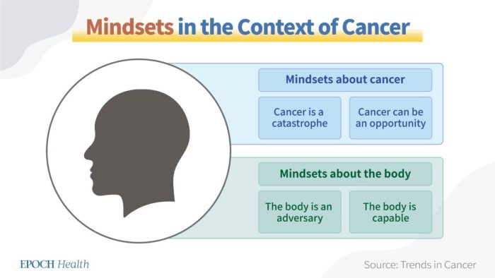 Рак не катастрофа. Изменение образа мыслей поможет вам вылечить онкологию