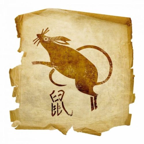 Что древние китайцы думали о крысах