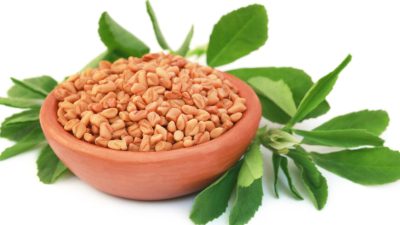 Пажитник лечит диабет, повышает тестостерон, облегчает менопаузу и многое другое…