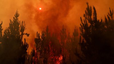 23 человека погибло из-за лесных пожаров в Чили