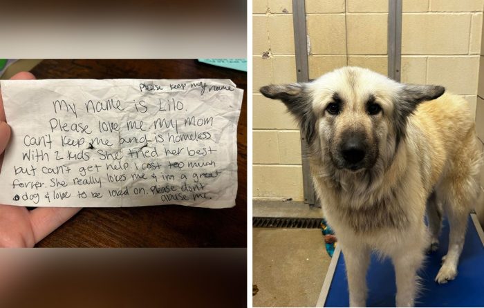 Собака была брошена хозяином, который стал бездомным, но оставил записку — незнакомцы взялись за их воссоединение