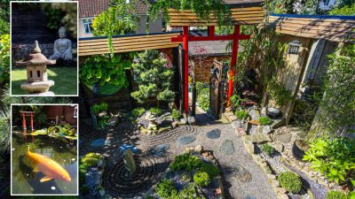 Житель Великобритании превратил задний двор своего дома в традиционный японский сад