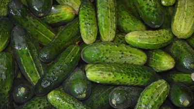 Почему в России дорожают огурцы и лук?