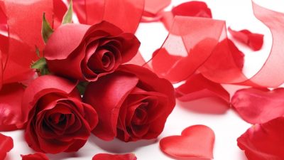 Сколько будет стоить букет роз ко Дню влюблённых