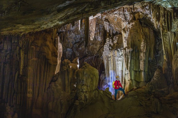 Ни с чем не сравнимое зрелище: труднодоступная пещера в джунглях Вьетнама открыта для посещения