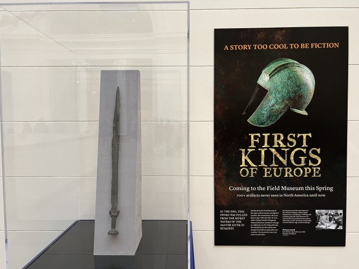 Меч, обнаруженный в реке Дунай, признан музеем подлинным клинком бронзового века возрастом 3 000 лет