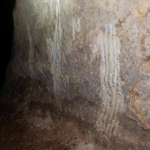 Спелеолог наткнулся на палеолитическую пещеру со следами доисторических медведей